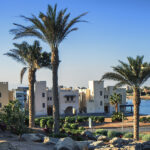 Kite El Gouna